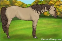 Horse Color:Liver Red Dun 