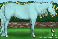 Horse Color:Watercolor Smoky Black Varnish 