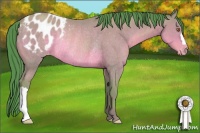 Horse Color:Watercolor Sable Champagne Appaloosa Rabicano 