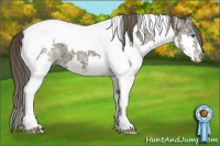 Horse Color:Classic Cream Champagne Ice Splash Tobiano Rabicano