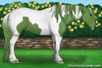 Horse Color:Watercolor Smoky Black Tobiano Varnish