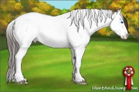 Horse Color:Sable Champagne Splash Tobiano Appaloosa 