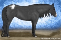 Horse Color:Blue Roan Varnish 