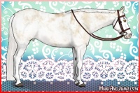 Horse Color:Silver Grullo Pearl Sabino Brindle 