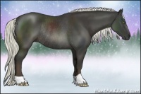 Horse Color:Liver Chestnut Rabicano 