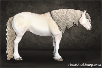 Horse Color:Gold Champagne Ice Pearl Onyx Sabino Rabicano