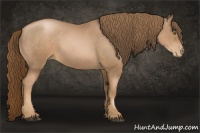 Horse Color:Liver Chestnut Pearl Rabicano 