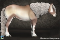 Horse Color:Silver Blue Onyx Pearl Sabino Rabicano