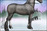 Horse Color:Grullo Rabicano 