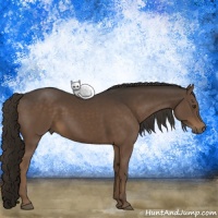 Horse Color:Liver Chestnut Rabicano 