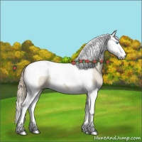 Horse Color:Smoky Creme Splash Tobiano 