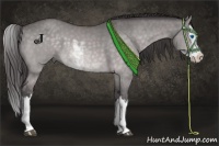 Horse Color:Platinum Buckskin Dun Sabino Splash 