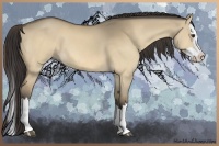 Horse Color:Buckskin Dun Splash