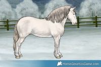 Horse Color:Perlino Dun Splash