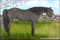 Horse Color:Smoky Grullo Splash 