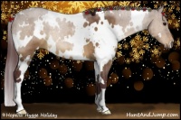 Horse Color:White Spotted Chocolate Brown Dun 