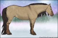 Horse Color:Liver Red Dun Sabino Rabicano Brindle