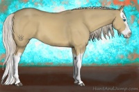 Horse Color:Palomino Dun Splash 