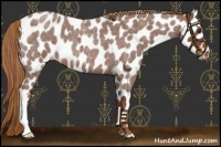 Horse Color:Red Roan Leopard 