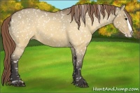 Horse Color:Buckskin Dun Splash Snowflake Varnish 