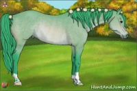 Horse Color:Watercolor Bay Rabicano 