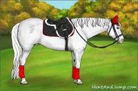 Horse Color:White Spotted Silver Smoky Black Blanket