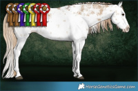 Horse Color:White Spotted Chocolate Palomino Dun Sabino Splash 