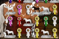 Horse Color:Gray White Spotted Silver Buckskin 