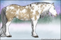 Horse Color:Brown Dun Sabino Splash Rabicano Brindle