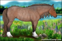 Horse Color:Liver Red Roan Rabicano 
