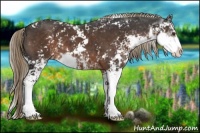 Horse Color:Liver Chestnut Sabino