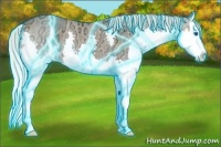Horse Color:Thunderstruck Silver Grullo Ice Splash Rabicano