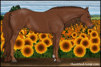Horse Color:Gray Chestnut 