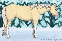 Horse Color:Silver Amber Champagne Dun Tobiano