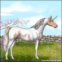 Horse Color:Watercolor White Spotted Palomino Tobiano 