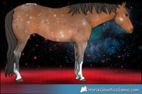 Horse Color:Bay Tobiano 