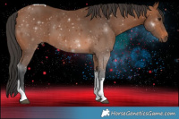 Horse Color:Bay Tobiano 