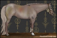 Horse Color:Chocolate Silver Black