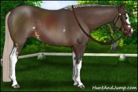 Horse Color:White Spotted Silver Brown
