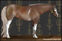 Horse Color:White Spotted Chocolate Silver Brown