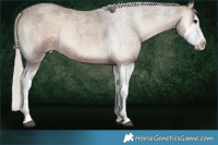 Horse Color:Silver Blue Onyx Roan Splash 