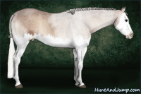 Horse Color:Silver Blue Onyx Roan Splash