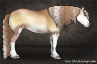 Horse Color:Red Onyx Pearl Sabino