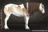 Horse Color:White Spotted Blue Onyx Pearl Tobiano Rabicano 