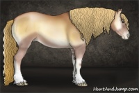 Horse Color:Red Onyx Pearl Sabino