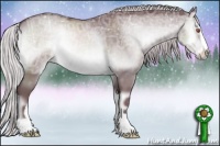 Horse Color:Chocolate Silver Brown Chinchilla Ice Onyx Sabino 