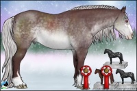 Horse Color:Chocolate Silver Brown Chinchilla Sabino Rabicano 