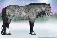 Horse Color:Brown Chinchilla Ice Sabino