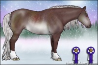 Horse Color:Chocolate Silver Brown Chinchilla Rabicano