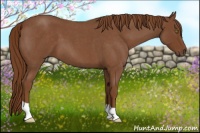 Horse Color:Red Roan 